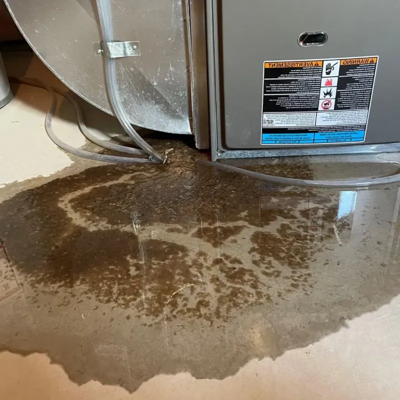 Pipe Burst and Leak Restoration in Howell County, MO